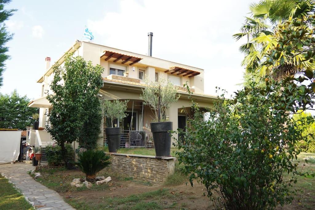 Villa Vasili Trikala  Exterior foto