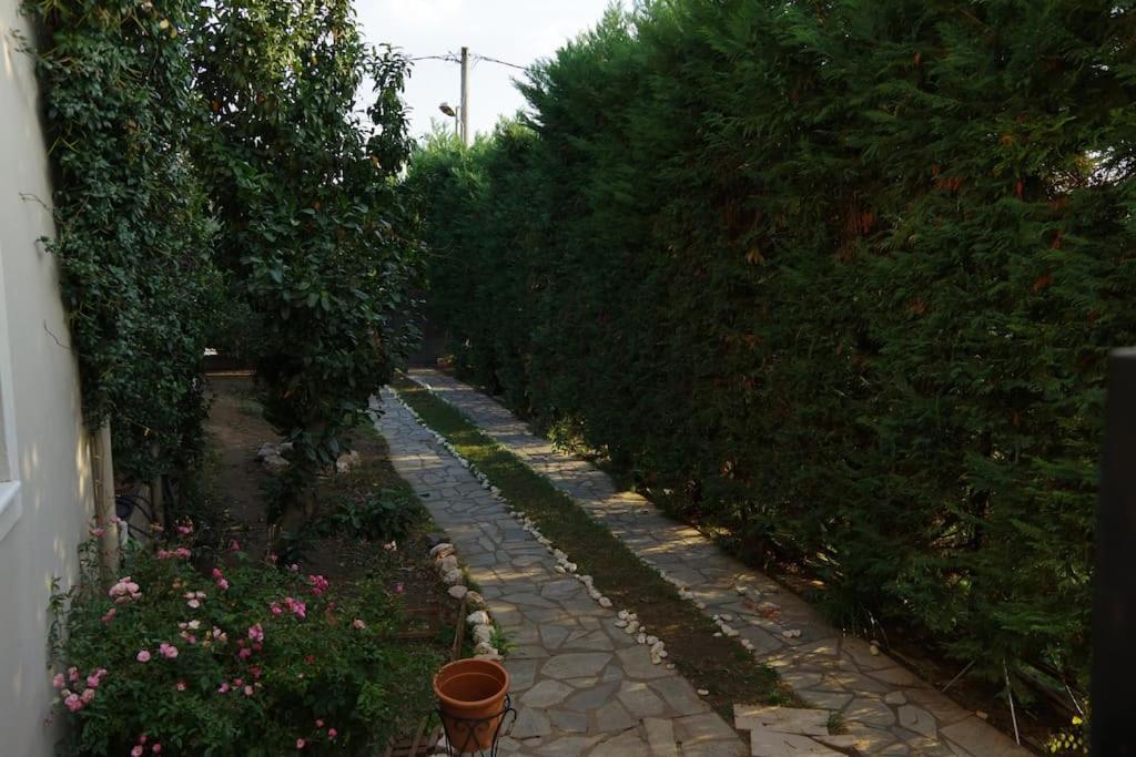 Villa Vasili Trikala  Exterior foto